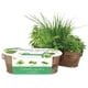 thumbnail image 2 of Kit De Cultivo Jardín Culinario De Cobre Con Albahaca Cilantro Y Cebollín, 2 of 6