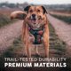 thumbnail image 5 of Arnés anti tirón Embark Pets con chaleco reflectante para perro, 5 of 8
