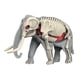 thumbnail image 4 of Modelo De Cuerpo Animal Para El Aprendizaje, Material Didáctico Para Niños Que Estudian En Casa (3109), 4 of 5