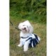 thumbnail image 3 of Pets First Pet Supplies Dallas Cowboys Pet Dress, Dallas Cow, 3 of 3