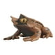 thumbnail image 1 of Figuritas De Rana De Juguete, Escultura De Animal De Rana, Accesorios Para Fotos, Material Didáctico, Juguetes De Baño, 3,5 Cm X 6cm X 6cm, 1 of 3