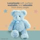 thumbnail image 2 of Peluche Bearington de peluche azul de 30 cm, 2 of 8