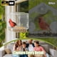 thumbnail image 5 of Comedero inteligente impermeable para aves Freeseason con cámara 2K HD, 5 of 8