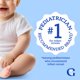 thumbnail image 3 of Cereal para Bebé Gerber Avena 8 oz 227 g Integral Etapa 1, 3 of 3