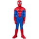 thumbnail image 3 of Disfraz oficial de Jazwares Spider-Man para jóvenes de Halloween (M), 3 of 5