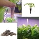 thumbnail image 2 of Esponjas de cultivo para usar con tapones de cultivo ecológicos. Esponjas para el crecimiento de plantas hidropónicas., 2 of 6