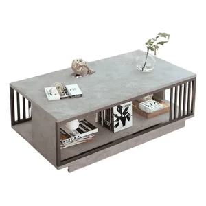 Pitaya - Mesa De Centro Para Living Con 2 Niveles 100X50X40 Gris