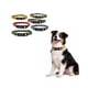 thumbnail image 1 of Collar Perro Nylon Ajustable M 36-58 cm Wonder Dog multicolor, 1 of 9