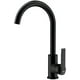 thumbnail image 1 of Grifo De Cocina In 915 Negro, 1 of 3