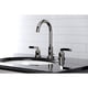 thumbnail image 5 of Grifo de baño extendido Fauceture Centurion FSC8929EFL, 5 of 8