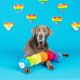 thumbnail image 3 of Fringe Studio Juguete de Peluche Jumbo para Perro "No me molestes", 3 of 4