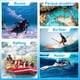 thumbnail image 5 of Funda Impermeable Sumergible Celular Universal Cierre Magnetico Estuche Protector Agua Playa Piscina Correa FIGOIMPORT, 5 of 10