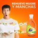 thumbnail image 2 of Detergente Líquido Flores Frescas, 2 of 6