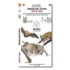 thumbnail image 1 of Guia Desplegable Murcielagos De Chile, 1 of 2