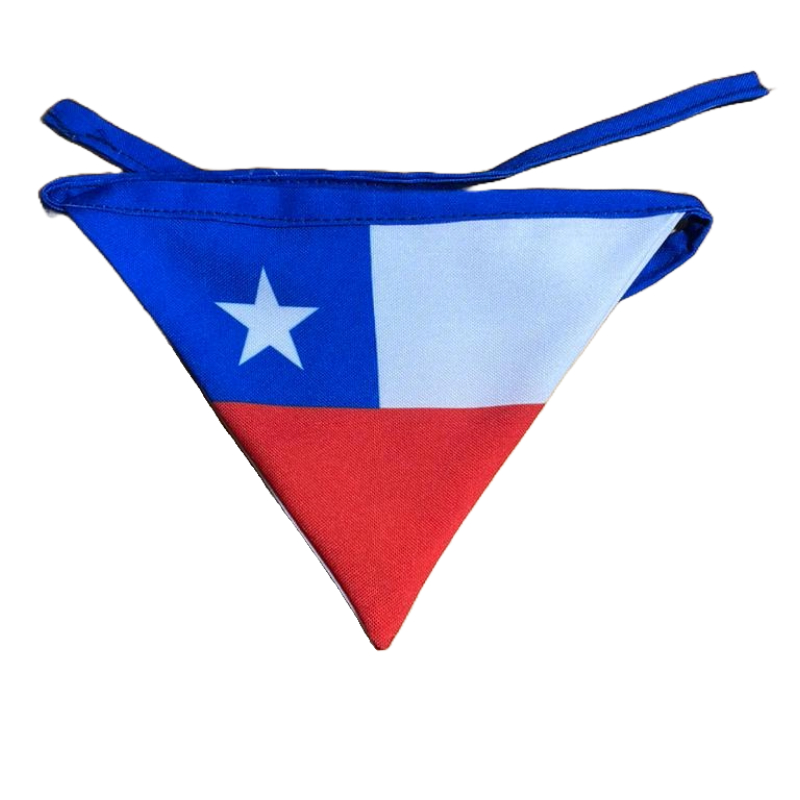 Winpet - Bandana Fiestas Patrias Para Perros Y Gatos Bandera L