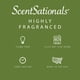 thumbnail image 4 of Aroma de néctar de madreselva Wax Melts Scentsationals, 300 ml (24 cubos), 4 of 7