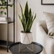 thumbnail image 3 of Porta Macetero Pedestal Maceta Plantas Decoracion Pequeño blanco, 3 of 9