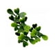 thumbnail image 3 of Jardin Vertical Cochamo, 3 of 3