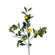 thumbnail image 2 of Rama De Limon 95cm, 2 of 3