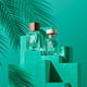 thumbnail image 5 of Perfume BENETTON Ladies Dreams Forever Green EDT Spray para mujer 2.7 oz, 5 of 6
