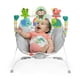 thumbnail image 2 of Asiento tipo hamaca para bebés Bright Starts Playful Paradise de 0 a 6 m, 2 of 9