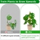 thumbnail image 5 of Tutor de musgo 2 unidades PLANTPOLEX, estacas de soporte para plantas de 53 cm, 5 of 6
