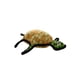 thumbnail image 5 of Juguete para perros ANSALDO PETS Tuffy Tortuga resistente, 5 of 5