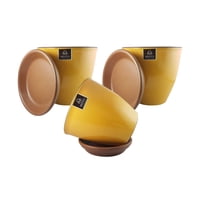 Pottery - Set De 3 Maceta Zafiro 14Cm Mostaza Dijon Y Sus Platos