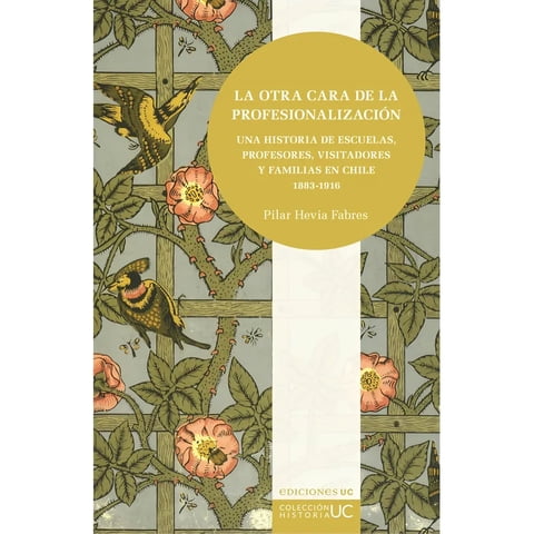 Ediciones Uc - Libro La Otra Cara De La Profesionalización - Pilar Hevia Fabres