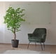 thumbnail image 2 of 2 X 1 Plantas Artificiales Ficus 160 Cm Verde, 2 of 9