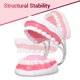 thumbnail image 2 of Modelo Dental de Boca Ultrassist Magnum 6x 32 Dientes, 2 of 3