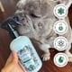 thumbnail image 5 of Spray desodorizante para perros Poo-Pourri Furrest Fresh 240 ml, 5 of 8