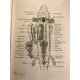 thumbnail image 3 of Libro W. H. Freeman Atlas de Anatomía Comparada, 3 of 6