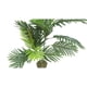 thumbnail image 5 of Planta Artificial Palmera 120 cm, 5 of 11