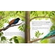 thumbnail image 5 of Secretos del Bosque de Editorial Contrapunto, 5 of 9