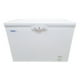 thumbnail image 1 of Congeladora Comercial BD-350 | Ideal para Negocios , Conservación Eficiente, 1 of 4