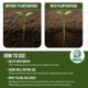 thumbnail image 5 of Fertilizante para plantas Monty's PlantVantage, paquete de 3, 240 ml, 5 of 7