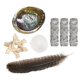 thumbnail image 4 of Sage Smudge Kit, varillas para difuminar salvia blanca, 4 pulgadas, concha de abulón, 5-6 pulgadas, soporte de trípode de 2 pulgadas, plumas y arena blanca de 9 a 12 pulgadas, 4 of 4