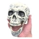 thumbnail image 2 of Figura decorativa calavera diseño realista crema, 2 of 2