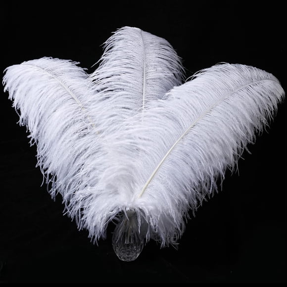 Plumas de avestruz Larryhot blancas 41‑46 cm, 10 piezas
