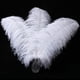 thumbnail image 1 of Plumas de avestruz Larryhot blancas 41‑46 cm, 10 piezas, 1 of 7