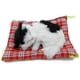 thumbnail image 2 of Peluche Gato Tounlinx 13 × 10 × 6 cm Muñeco Sonoro para Dormir, 2 of 7