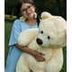 thumbnail image 2 of Oso de peluche Morismos Giant, 90 cm, color beige y crema, 2 of 3