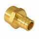 thumbnail image 2 of Adaptador Barb x FPT de 1/2 pulgada de The Mosack Group Inc, 2 of 7