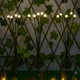 thumbnail image 2 of Set 2 Luces Solares Exterior Jardin Estaca Decorativa Led amarillo, 2 of 7