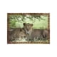 thumbnail image 5 of Puzzle Leones (100 Piezas) - Toyng, 5 of 8