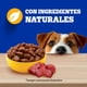 thumbnail image 4 of Alimento Húmedo Perro Adulto Raza Pequeña Sabor Carne Pouch, 100 g, 4 of 9