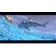 thumbnail image 3 of Control remoto Roboshark Jupiter Creations a prueba de agua, 3 of 6