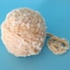 thumbnail image 5 of madeja de poliéster suave hilado grueso para crochet kniting beige, 5 of 5