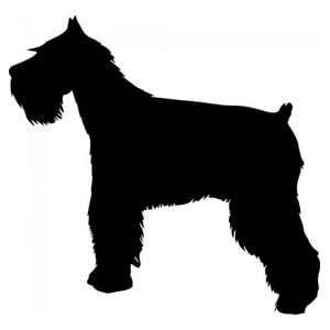 Rienda Libre Graphics - Decomural Schnauzer Dog Pack Ws-33056